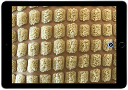 Screenshot 2020-01-25 at 11.13.50